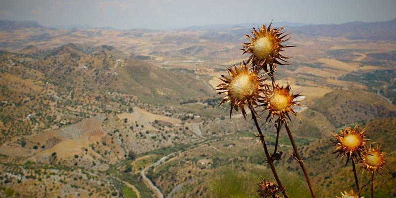 上海AVHP58深度评测:是投影仪,更是次世代游戏与影音娱乐中心