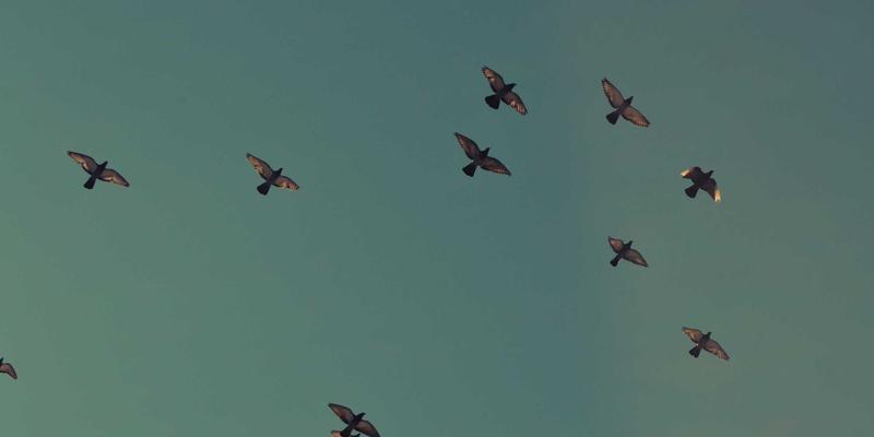 上海AVHP68：智能家居时代的全能娱乐中枢，如何重塑游戏与影音体验？