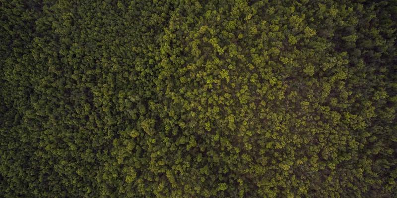 上海AVHP72：涂鸦艺术与游戏影音设备的跨界融合新体验