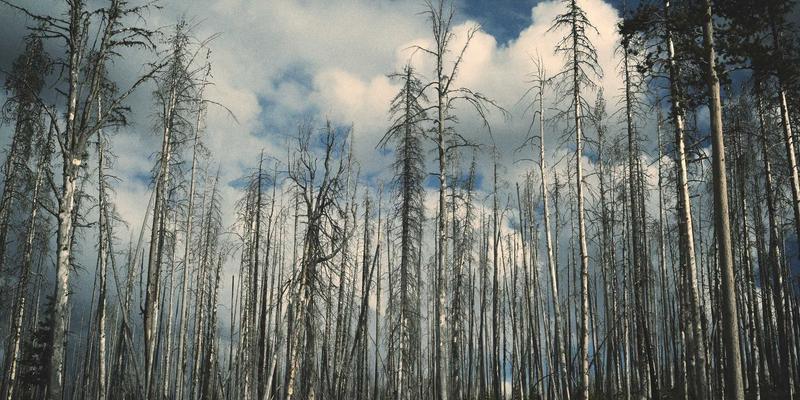 上海AVHP：以专业音响、游戏设备与投影仪解决方案，驱动企业数字化转型新引擎