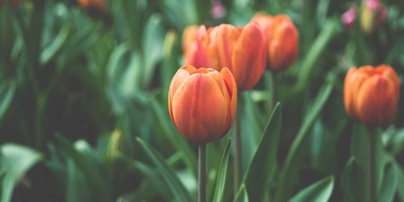 上海AVHP影院级投影仪校准服务：当专业音响与涂鸦艺术邂逅极致色彩还原