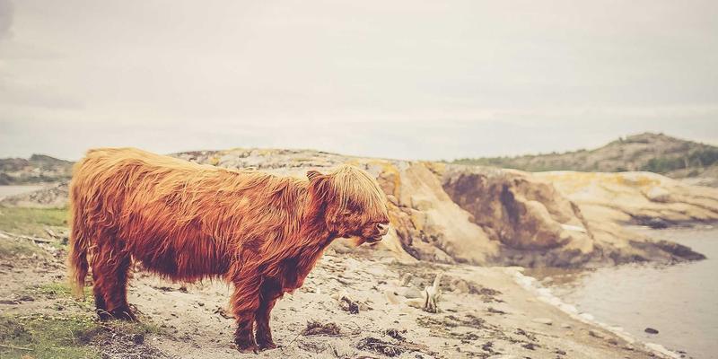 上海AVHP智慧教室音频方案：融合涂鸦艺术与专业音响，打造沉浸式互动课堂