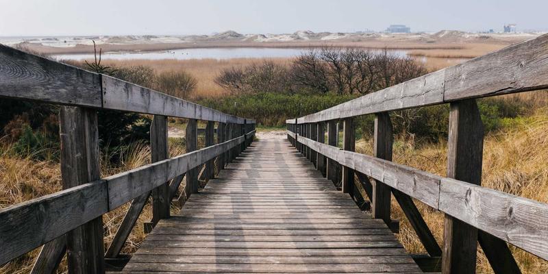 上海AVHP高保真会议系统：科技购物新选择，打造无语言障碍的沉浸式远程协作空间