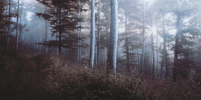 从芯片到整机：上海AVHP如何以核心音频技术重塑智能家居音响体验
