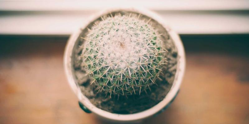 当智能家居邂逅涂鸦艺术：上海AVHP智慧酒店如何用电子产品重塑个性化入住体验